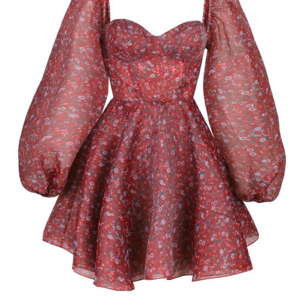Selkie Crimson Princess Dress